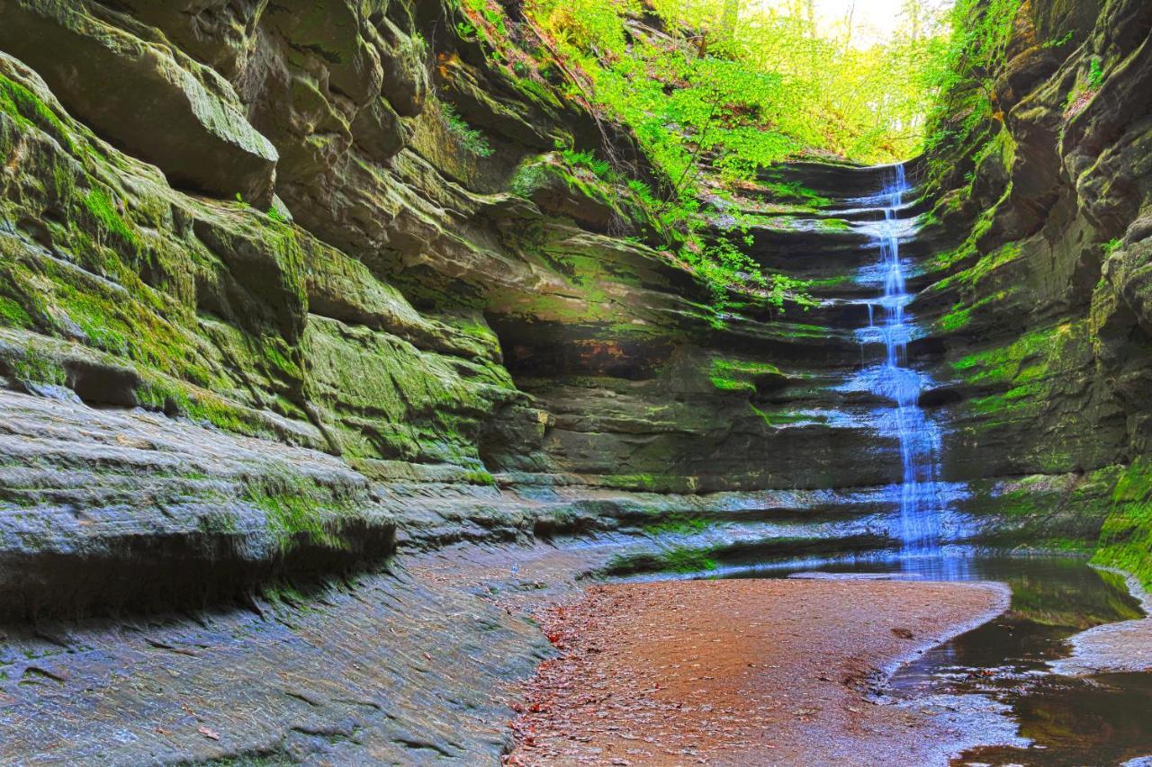 Starved Rock & Ottawa Retreat Amazing Getaway Home Buitenkant foto